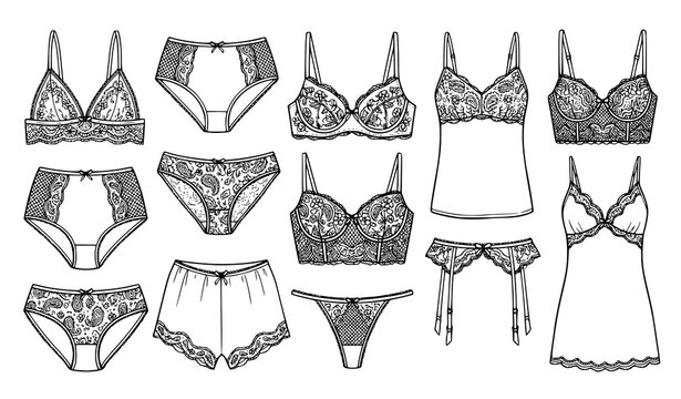 Hand drawn vector vector set of elegant lace lingerie underwear bras panties garter belt camisole nightwear fashion sketches on white background

