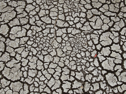 Aerial view of parched earth split into a mosaic of curling, sun-baked clay plates, a stark record of prolonged drought and vanishing water