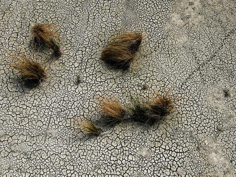 Aerial view of parched earth split into a mosaic of curling, sun-baked clay plates, a stark record of prolonged drought and vanishing water