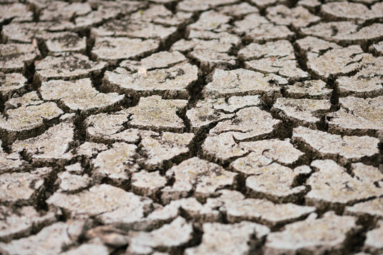 Parched earth split into a mosaic of curling, sun-baked clay plates, a stark record of prolonged drought and vanishing water
