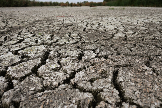 Parched earth split into a mosaic of curling, sun-baked clay plates, a stark record of prolonged drought and vanishing water