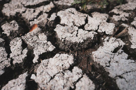 Parched earth split into a mosaic of curling, sun-baked clay plates, a stark record of prolonged drought and vanishing water