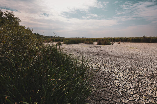 Parched earth split into a mosaic of curling, sun-baked clay plates, a stark record of prolonged drought and vanishing water