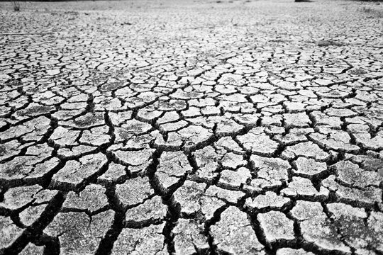 Parched earth split into a mosaic of curling, sun-baked clay plates, a stark record of prolonged drought and vanishing water