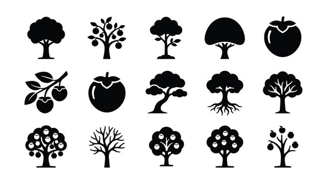 Collection of black and white fruit trees and plants icons with transparent background