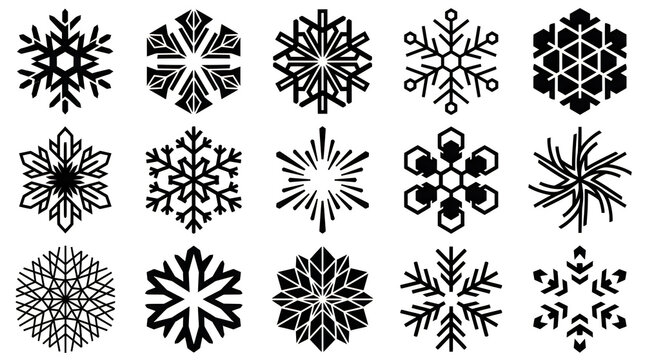Collection of intricate black snowflake designs on a white background