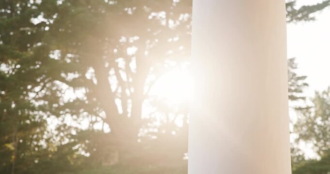 Pillar, sunshine and outdoor with trees for morning memory, holiday or getaway in tropical resort. Empty, structure and sunlight with lens flare of natural growth in vacation retreat or weekend villa