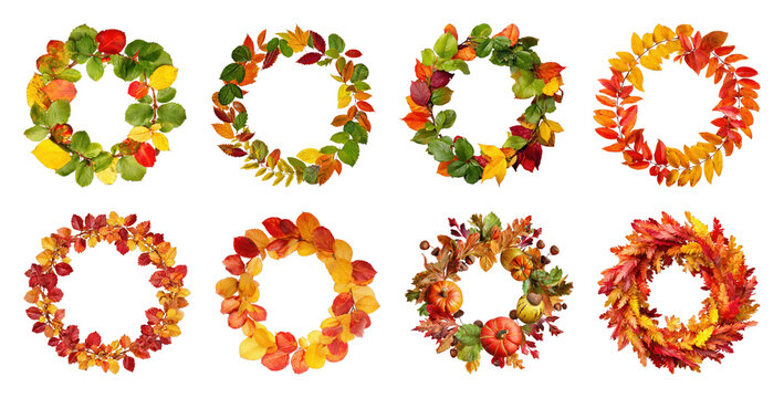PNG Autumn leaf wreath set with colorful fall foliage circles on transparent background