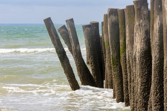 Weathered wooden breakwater groynes covered in barnacles and algae at a sandy beach shoreline with turquoise waves