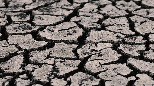 Dry, parched earth cracked by prolonged drought in a dried out wetlands area in Romania.