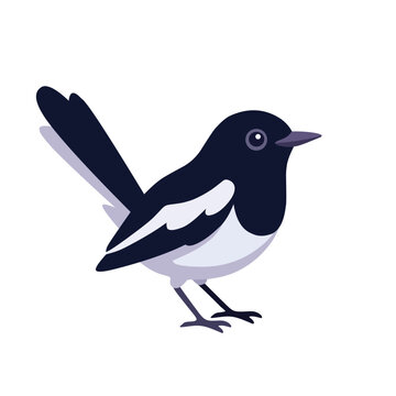 Oriental magpie robin illustration with black and white feathers perched on a branch, isolated on white background, ideal for wildlife, nature, education, and design wildlife