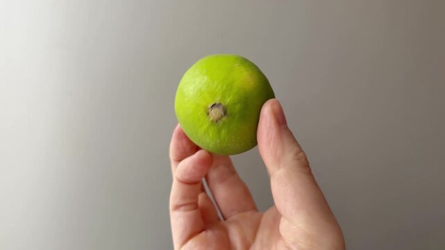 Hand Presenting a Whole Fresh Lime Against Grey