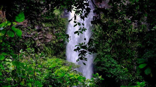 Static view Tavoro waterfall flowing water behind trees in Bouma National Heritage Park on Taveuni Island, Fiji, South Pacific