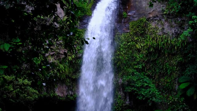 Slow pan down Tavoro waterfall in Bouma National Heritage Park on Taveuni Island, Fiji, South Pacific