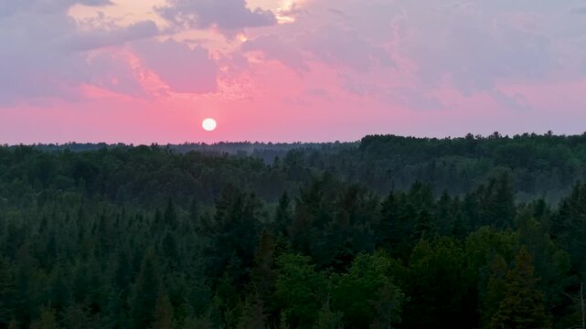 A glowing sun descends through pink clouds above a vast evergreen forest in the Upper Peninsula of Michigan.