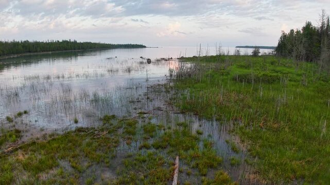 A low drone view crosses a rocky marsh shoreline with grasses reeds and calm bay water near Hessel in the Upper Peninsula.