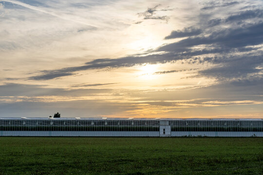 Large Commercial Greenhouse Complex at Sunset with Dramatic Sky Over Green Fields