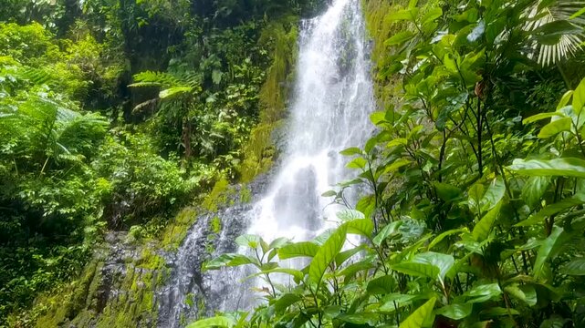 Scenic pan up view cascading waterfall in rainforest environment in Pohnpei, Federated States of Micronesia