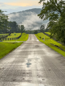 Beautiful rural Free Union, Virginia