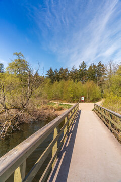 Wooden footbridge crossing a scenic lake on a sunny day
