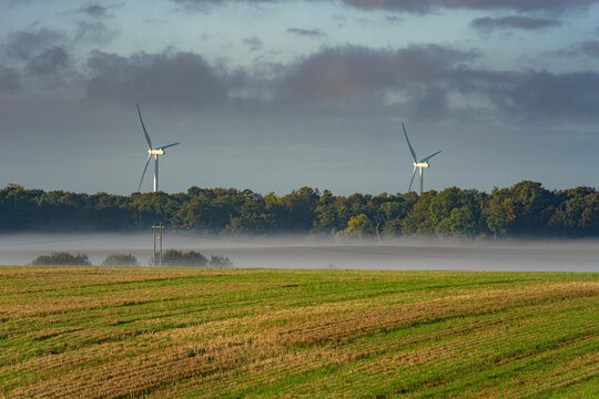 Misty morning landscape with rural green fields and wind turbines