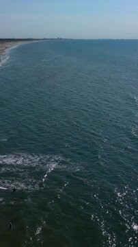 Vertical aerial drone clip of North Sea coast, sandy beach, surfers, waves, and coastal dunes in Katwijk aan Zee, South Holland, Netherlands on sunny summer day