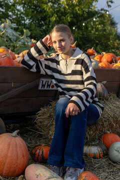 Young woman sitting on hay bale among colorful pumpkins in autumn garden, warm sunlight creates a cozy rustic harvest atmosphere outdoors.