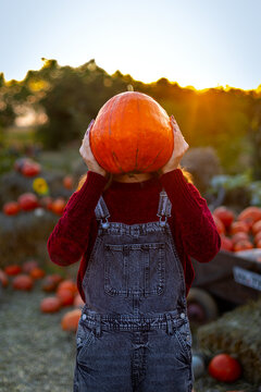Young woman hiding her face behind a large orange pumpkin at sunset, playful autumn harvest portrait with warm golden light and seasonal farm scenery.