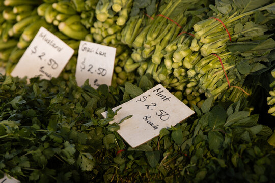 Fresh bunches of leafy greens and herbs are displayed at a market stall