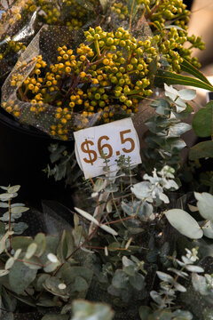 Bunches of eucalyptus stems and yellow wattle buds wrapped in clear plastic sleeves