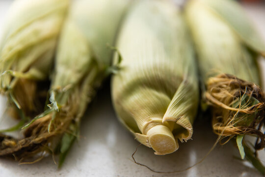 Fresh ears of corn still in their husks arranged side by side on a light surface