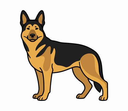 German Shepherd