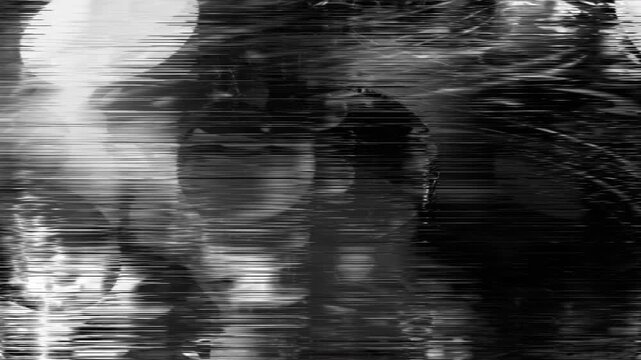 Monochrome Glitch Background with Horizontal Interference on Seamless Loop
