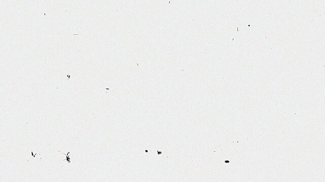 Minimalist white background with subtle black dust and grain particles