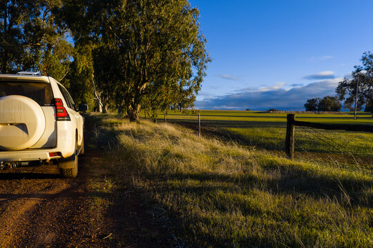 White four wheel drive vehicle parked on dirt track beside open grassy paddock at sunset