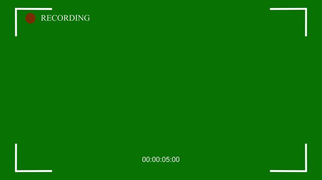Viewfinder recording camera screen with white stripes frame on a black and green background. Blinking round red rec button. 4K camcorder interface for video cameras.