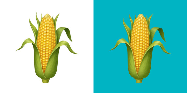 Two corn cobs on blue background transparent png
