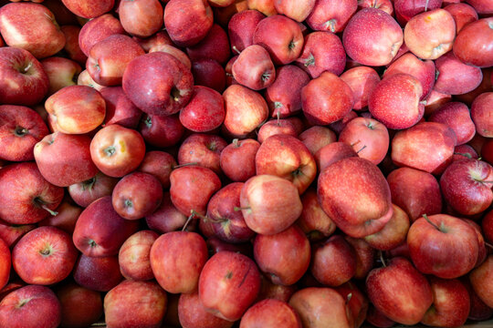 Stockholm, Sweden A bin of bright red apples in a supermarket.