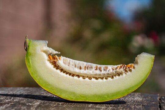 Fresh slice of ripe sweet melon with seeds. Closeup of juicy green melon slice with seeds standing on rustic wooden table in sunny garden with blurred background