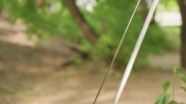 Close up of metal object with long thin rods extending downward in outdoor setting. Background features blurred green foliage and dirt path suggesting natural environment. Lighting is soft