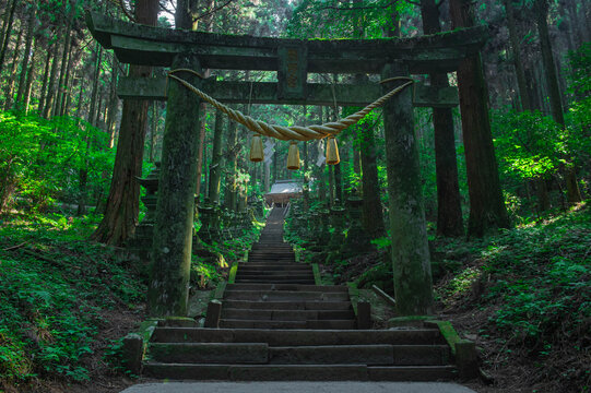 上色見熊野座神社の鳥居と拝殿