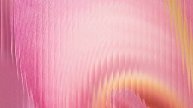 Abstract pink and pale coral soft luminous wave bands background with smooth flowing motion