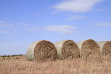  Kansas Hay Bales in Farm Field outdoor with blue sky © Stockphotoman