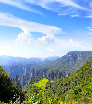 Spectacular rice field terraces and sandstone pillars, Yuanjiajie area, Zhangjiajie National Forest Park, China. Topic of travel, vacation, trip, cruise, tour. Avatar mountains Wulingyuan scenic area