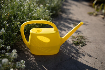 Side view of a yellow plastic watering can standing on a sunny garden path beside white flowers and green foliage. © Tatsiana