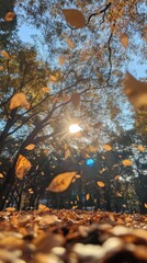 Obraz premium Autumn woodland tunnel with curved tree trunks, bright sunlit clearing, small wooden cabins, orange foliage, leaf covered ground and warm rural landscape atmosphere