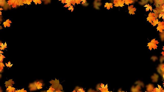 colorful autumn leaves border frame isolated alpha channel animation,blur leaf thanksgiving and Halloween celebration video stream overlay social media motion design element