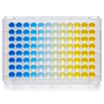96 well ELISA plate with blue and yellow color gradient