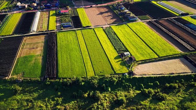 Parallax move across patchwork of Geumsan ginseng plots under black shade nets, ripening rice paddies, greenhouses and tilled soil in rural Chungcheongnam South Korea
