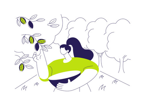 Almonds growing isolated cartoon vector illustrations.